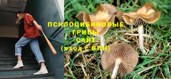 твердый Беломорск