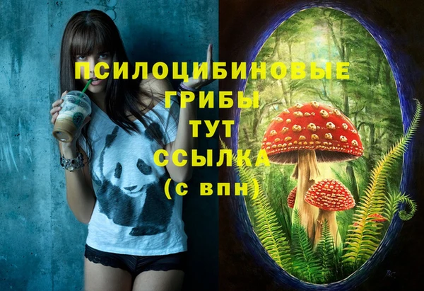 марки nbome Белокуриха