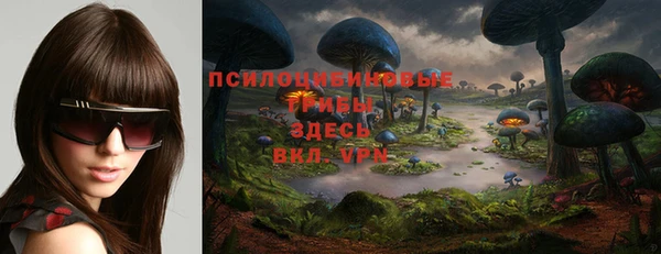 марки nbome Белокуриха