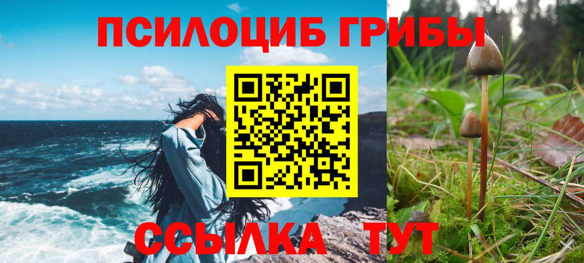 Псилоцибиновые грибы MAGIC MUSHROOMS Бор