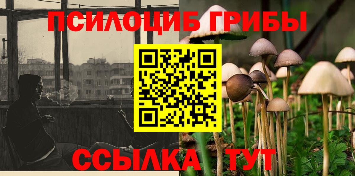 Псилоцибиновые грибы Psilocybine cubensis  Вход с VPN  Бор 